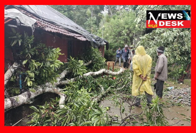 *ಕೊಡಗಿನಲ್ಲಿ ಗಾಳಿ ಮಳೆ : ಮರ ಬಿದ್ದು ವ್ಯಕ್ತಿ ಸಾವು*
