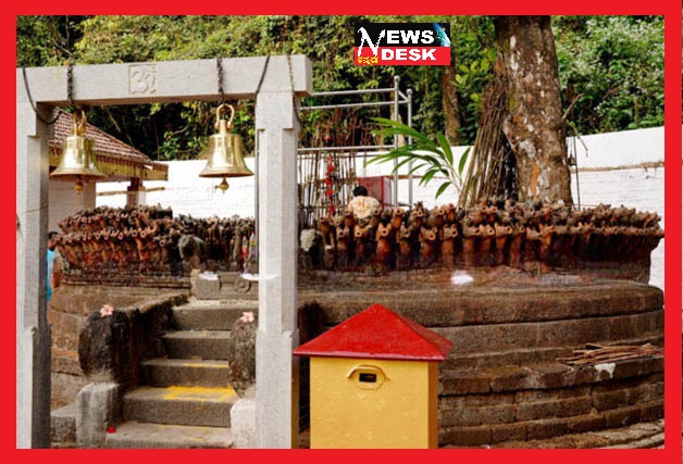 *ಕೊಡಗಿನಲ್ಲಿ ಹರಕೆ ರೂಪದಲ್ಲಿ ಮಣ್ಣಿನ ನಾಯಿಗಳ ಪ್ರತಿಕೃತಿಯನ್ನು ಒಪ್ಪಿಸುವ ವಿಶಿಷ್ಟ ಆಚರಣೆ*