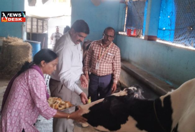 *ಗೋಶಾಲೆಗೆ ಜಿಲ್ಲಾಧಿಕಾರಿ ಭೇಟಿ; ಪರಿಶೀಲನೆ*