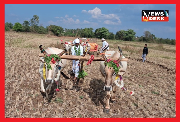 *ತೊರೆನೂರು ಗ್ರಾಮದಲ್ಲಿ ಸಂಭ್ರಮದ ಹೊನ್ನಾರು ಉತ್ಸವ*