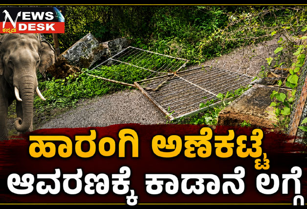 *ಹಾರಂಗಿ ಅಣೆಕಟ್ಟೆ ಆವರಣಕ್ಕೆ ಕಾಡಾನೆ ಲಗ್ಗೆ*