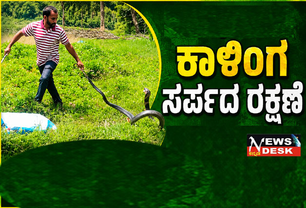 *ಯರವನಾಡು : ಕಾಳಿಂಗ ಸರ್ಪದ ರಕ್ಷಣೆ*