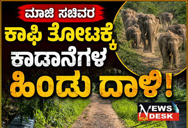 *ಮಾಜಿ ಸಚಿವರ ಕಾಫಿ ತೋಟಕ್ಕೆ ಕಾಡಾನೆಗಳ ಹಿಂಡು ದಾಳಿ*