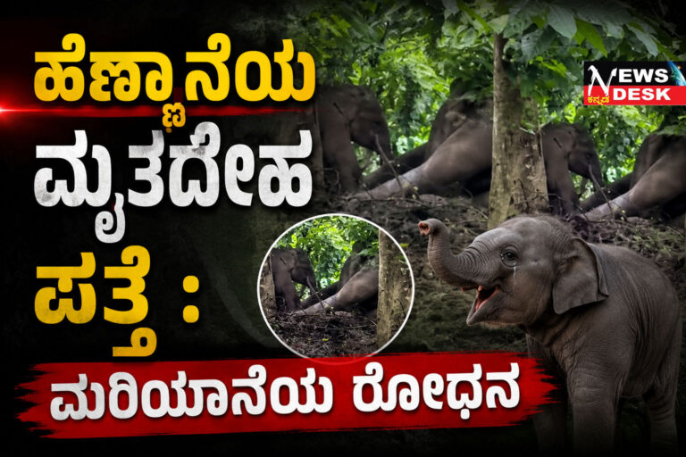 *ಹೆಣ್ಣಾನೆಯ ಮೃತದೇಹ ಪತ್ತೆ : ಮರಿಯಾನೆಯ ರೋಧನ*