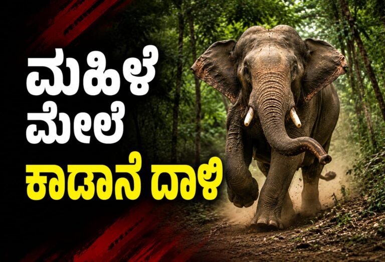 *ಮಹಿಳೆ ಮೇಲೆ ಕಾಡಾನೆ ದಾಳಿ*