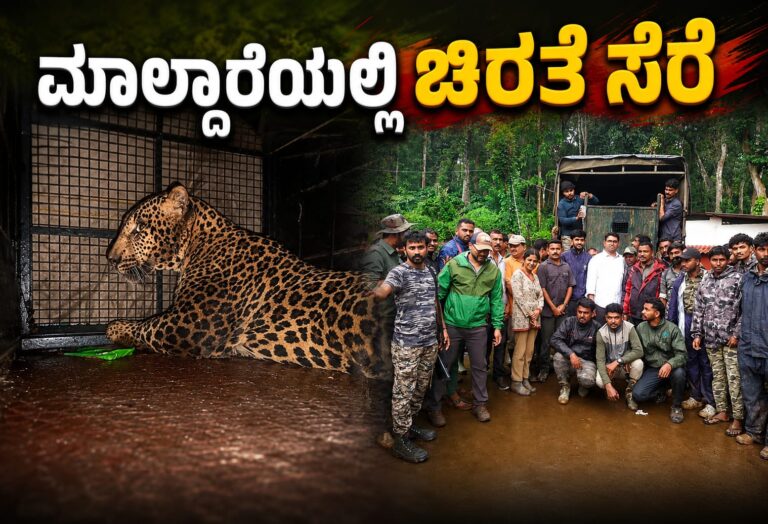 *ಮಾಲ್ದಾರೆಯಲ್ಲಿ ಚಿರತೆ ಸೆರೆ*