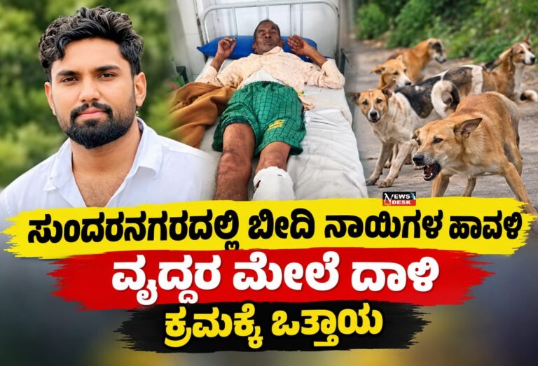 *ಸುಂದರನಗರದಲ್ಲಿ ಬೀದಿ ನಾಯಿಗಳ ಹಾವಳಿ : ವೃದ್ಧರ ಮೇಲೆ ದಾಳಿ : ಕ್ರಮಕ್ಕೆ ಒತ್ತಾಯ*