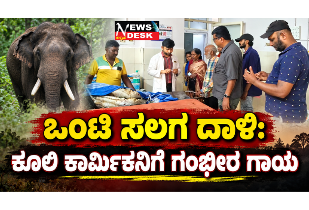 *ಒಂಟಿ ಸಲಗ ದಾಳಿ: ಕೂಲಿ ಕಾರ್ಮಿಕನಿಗೆ ಗಂಭೀರ ಗಾಯ*
