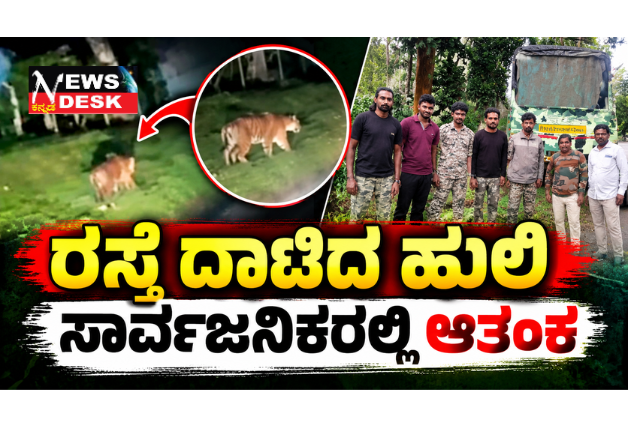*ರಸ್ತೆ ದಾಟಿದ ಹುಲಿ: ಸಾರ್ವಜನಿಕರಲ್ಲಿ ಆತಂಕ*