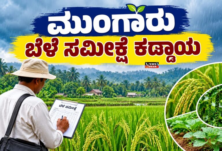 ಮುಂಗಾರು : ಬೆಳೆ ಸಮೀಕ್ಷೆ ಕಡ್ಡಾಯ